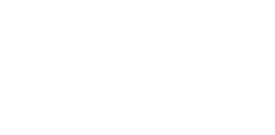 vk logo white